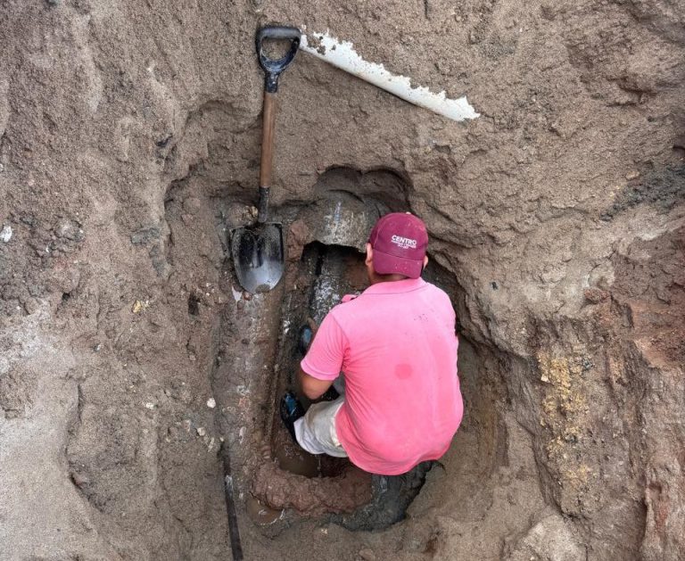 EL Puntal | Fugas ► Columnista: Pablo Cámara